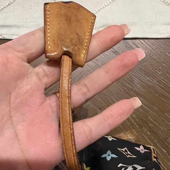 Louis Vuitton Multicolor Speedy Takashi Murakami - Picture 11 of 12